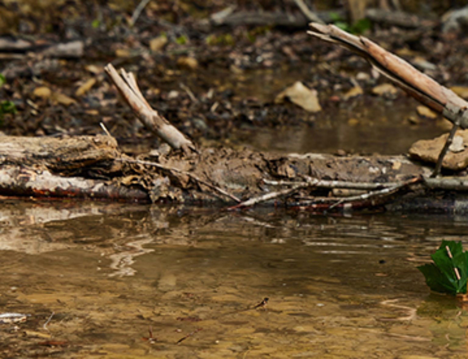 Blog Teaser - Trinkwasser