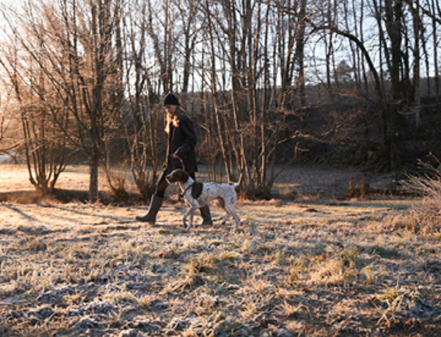 Blog Teaser - Frau und Hund spazieren im Wald