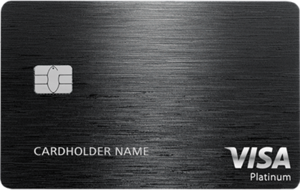 Visa Platinum