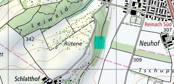 Koordinaten Karte Reinach